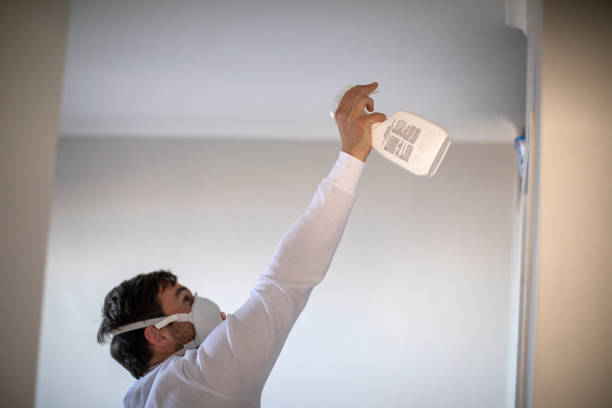 Best Attic Mold Removal  in Benton, LA