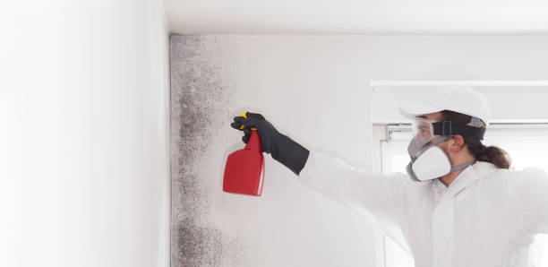 Crawl Space Mold Removal in Benton, LA